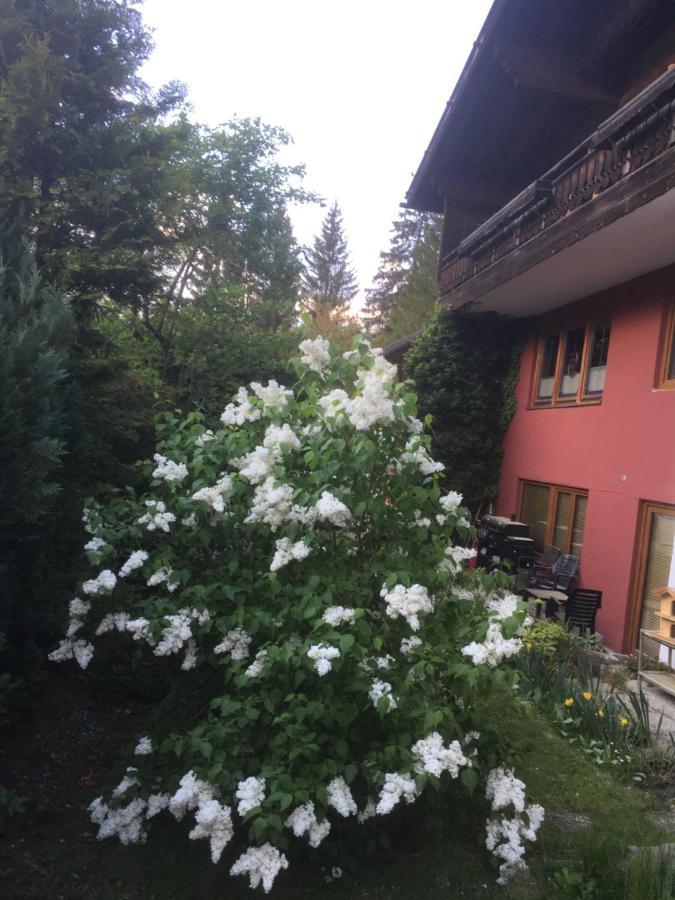 Ferienhaus Wieswald Ehrwald Luaran gambar